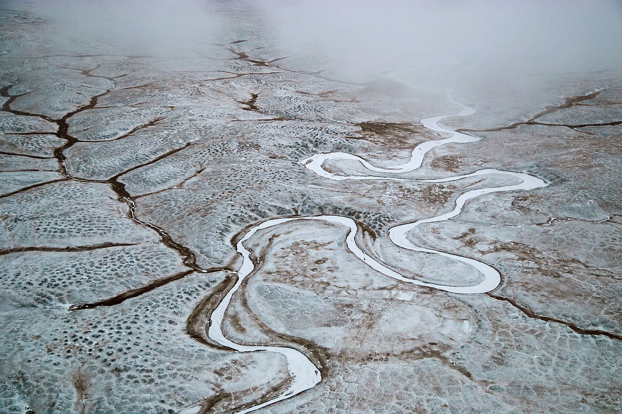 "Lena Delta B.Lyakhovsky Island 2010-09-28 Boris" by A.Savin, under CC-BY-SA-4.0