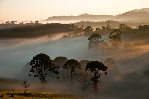 Photo by Heris Luiz Cordeiro Rocha, CC BY-SA 3.0.